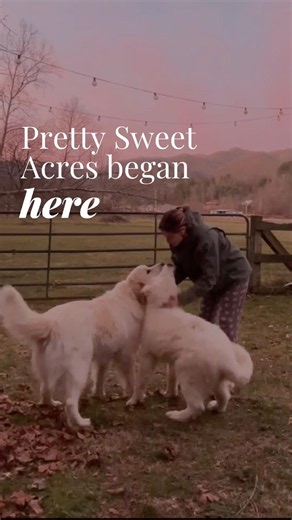 Pretty Sweet Acres didn’t start with some big master plan.