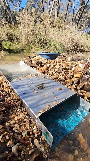 1.1M views · 2.7K reactions | The Fastes Sluice on Earth. If it had legs #ltdan #nolegs #gump #sluicebox #gold | Vo-Gus Prospecting | Facebook