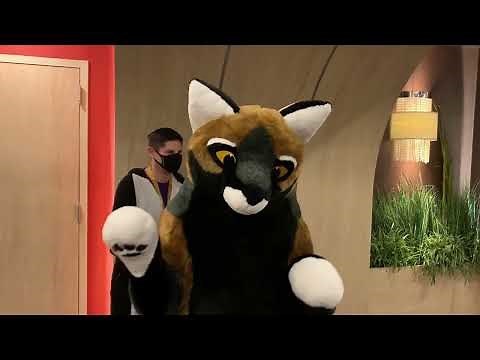 PlushLife CrossFox Plushie Fursuit at BLFC 2021