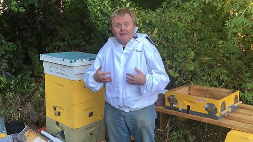 BeePi: A Multisensor Electronic Beehive Monitor