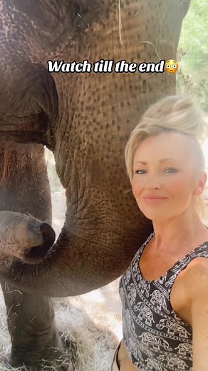 Caring for Elephants: A True Love Story