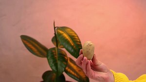 Consejos frescos, placer culinario único