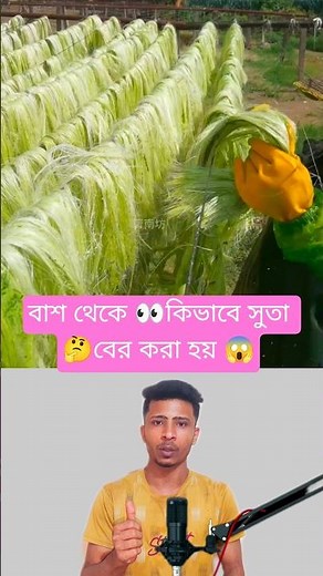 Bamboo to Thread - The Most Elegant DIY Process