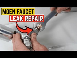 How to Fix a Leaky Moen Single Handle Faucet in Minutes!