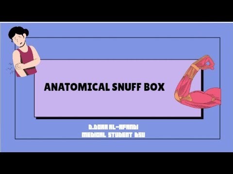 Anatomical snuff box