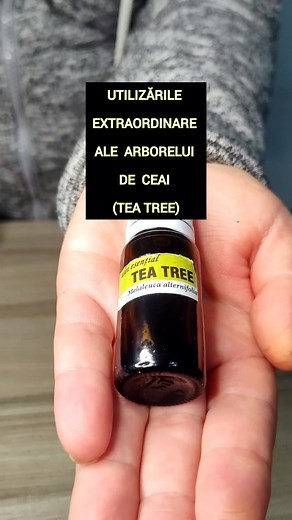 32K views · 750 reactions | Utilizările extraordinare ale arborelui...