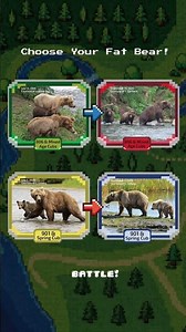 Fat Bear Week 2026 Round 1