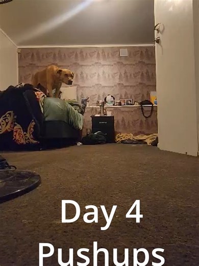 Day 4 of 30 days of movement in Janurary, todays exercise is PUSHUPS! #youtube #youtuber #content #contentcreator #video #moving #challenge #30days #movement #janurary #followalong #workout #workoutmotivation #day4