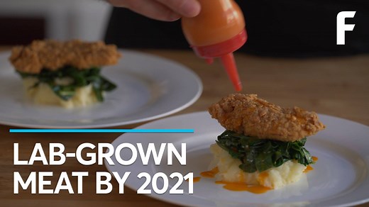 463K views · 4.7K reactions | Lab-grown meat is coming our way soon... and we may even be able to afford it. | Futurism | Facebook