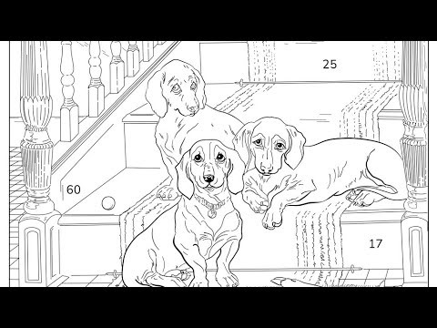 COLOR BY NUMBER: DOGS 010526