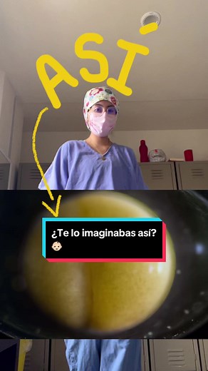 Desarrollo embrionario: primeras 4 semanas del bebé