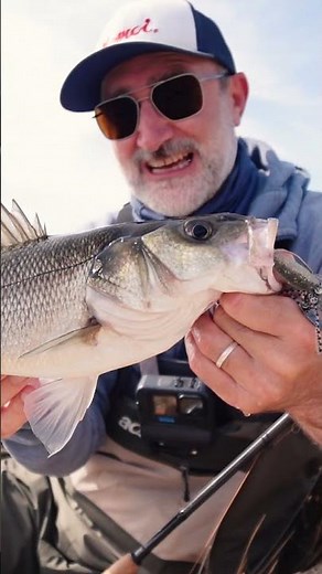 NEUER Köder im TEST #barschalarm #barschangeln #raubfisch