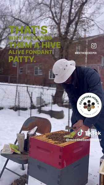 Winter Beekeeping Tips for Hive Management