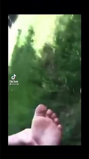 I’ve Been stung by a Wasp #viral #edit #best #meme #memes