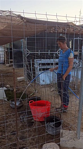 2.9K views · 348 reactions | Jacobs Ridge Animal Sanctuary on Reels | Facebook