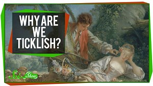 What’s up with ticklishness? And are other animals ticklish, too? Quick Questions has the answers! | SciShow