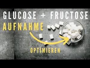 Glucose and fructose absorption explained - why glucose is important!
