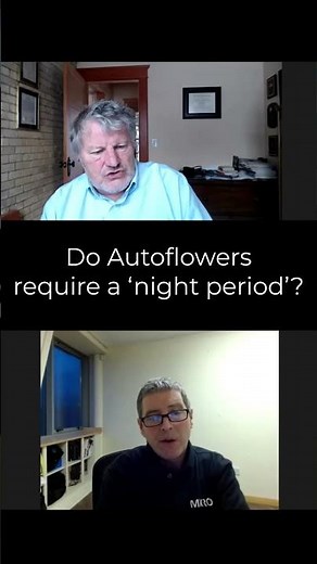 Do autoflowers require a night period?