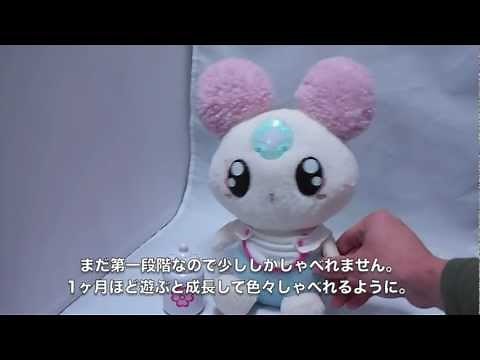 フレッシュプリキュア! シフォンお世話になります(第一段階) Fresh precure
