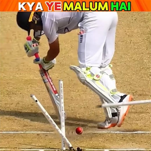 Ball Hit Umpire 😱 Was It Dead Ball or No Ball? 🏏🔥