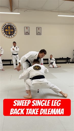 Sweep Single Leg to Back Take Dilemma | Michael Trasso