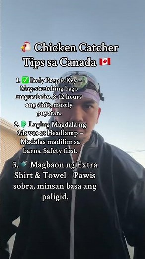 Chicken Catcher Life in Canada 🇨🇦 | Tips for Newcomers 🐔 #farmlife #chicken #workabroad #shorts