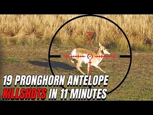 Best Pronghorn Antelope KILL Shots | Hunting Compilation