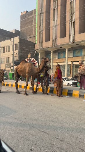 35K views · 822 reactions | Da yousaf jan da interview asar | The City Vibes by Arbab | Facebook