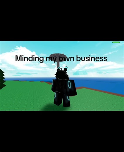 Mind Your Own Business: A Roblox Scenario