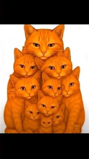 Count Numbers of Cats ⁉️ #puzzlegame