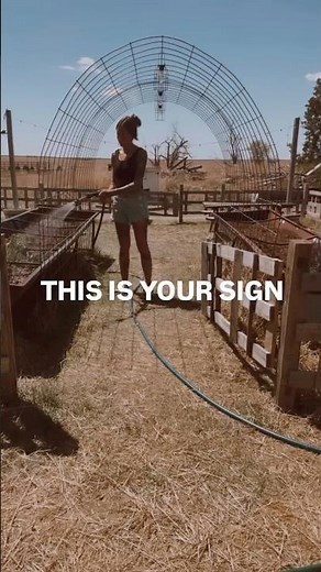 Installing a DIY Garden Water Drip System