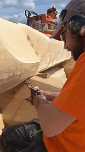 Taiga Log Homes on Reels