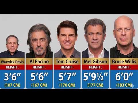 Real Heights of 300 Hollywood Actors - How Tall Are They Really?