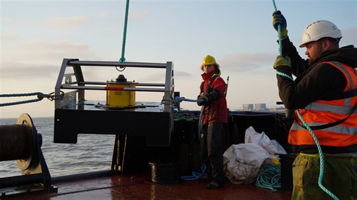 Hinkley Point C trials acoustic deterrent technology to protect fish near the plant