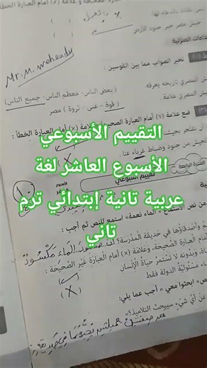 التقييم الأسبوعي الأسبوع العاشر لغة عربية تانية إبتدائي ترم تاني