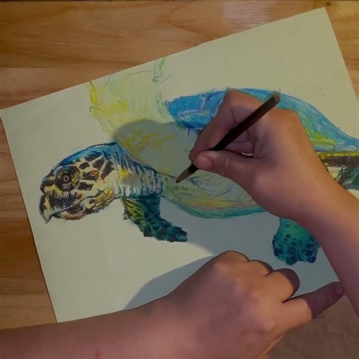 Color Pencil 🐢 Turtle Drawing ✍️ Eva Kendrick Art Timelapse & 🎨 in Real Time