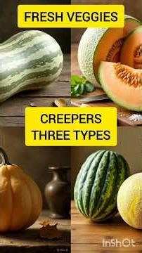 THREE TYPES OF VEGGIES #vegetables #farming #garden