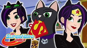 Les meilleurs épisodes de Cat Woman | DC Super Hero Girls Italie - Cartononline.com
