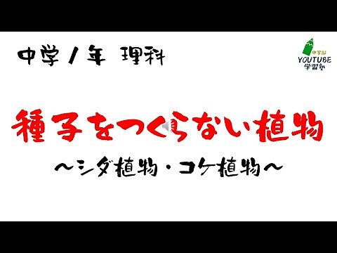 中学理科「種子をつくらない植物」シダ植物とコケ植物のつくり