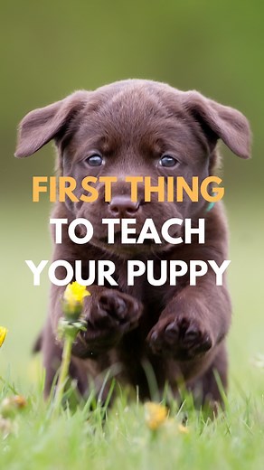 6.8K views · 886 reactions | It’s that they’re SAFE… They need to...