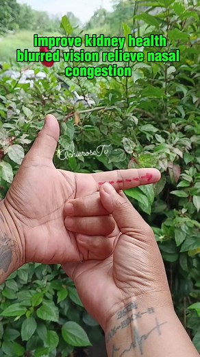 373K views · 3.5K reactions | health tips ✅ #followerseveryone #trendingreel #reflexology #massage #fblifestyle #highlights #healthtips #massagetherapy # | Ochie&Rose Tv | Facebook