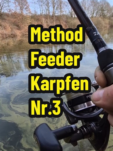 Method Feeder Carp Fishing Tips