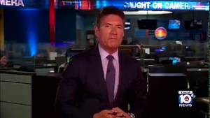 4.7K views · 46 reactions | Caught on camera: Dolphin attacks trainer during show at Miami Seaquarium | WPLG Local 10 | Facebook