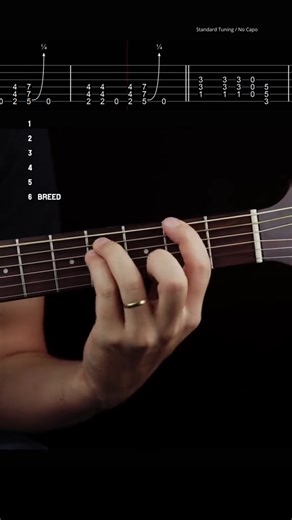 What band next This time I couldn't record all the riffs in one take because they use different tunings! Hope you like it! #guitartabs #nevermindalbum #heartshapedbox | Ayla Alic