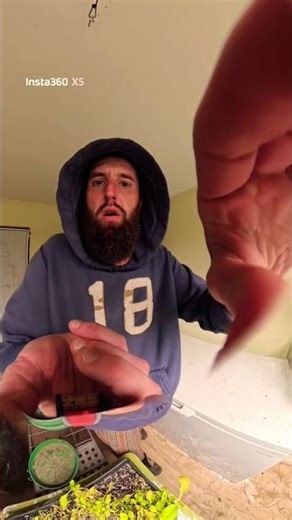 Farmer Boy Art Fall Indoor Garden #plants #indoorgardening