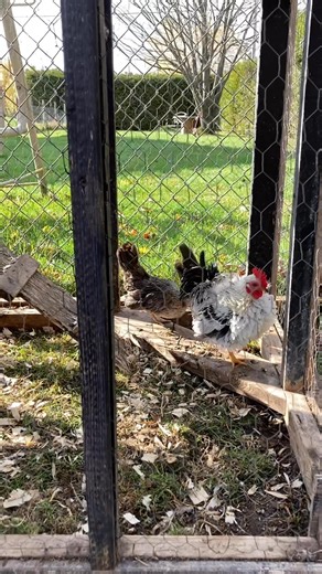 AyaM & Sérama on Reels