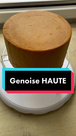 Easy Foolproof Genoise Recipe for Rectangular Birthday Cake