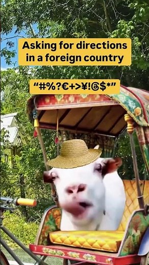 Huh Cat Funny Meme Video 😂 | Best Cat Memes Compilation 2024 🐱 #huhcat #funnycats #memes #shorts