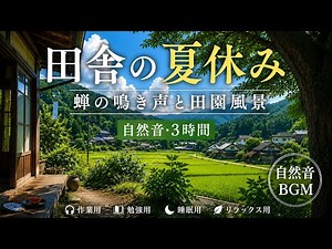 夏の田舎の風景と蝉の声｜心が落ち着く自然音 3時間