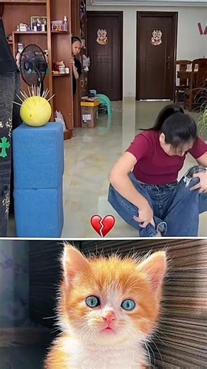 Family funny moments